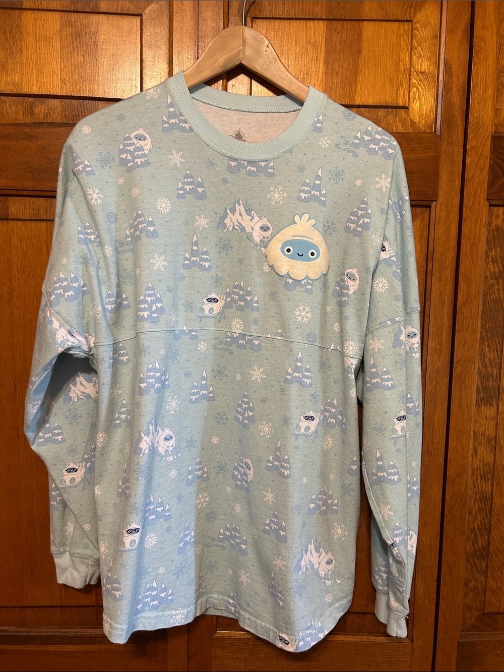 WDW Expedition Everest Spirit Jersey